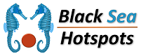 Project Logo